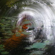 Dreamscape-1_card