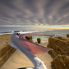 1097a-wide_open_pacific_beach_thumb