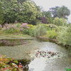 Monet_1_thumb