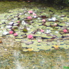 Monet3_thumb