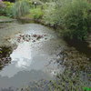 Monet4_thumb