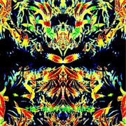 Psychedelikastric_card