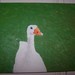 100_8195_square