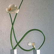 Ikebana-024_card