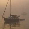 Img_0008_boat_st_aug_thumb