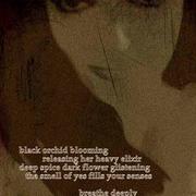 17rn5-20081130021718_card