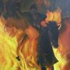 Nelle_fiamme_40x50_thumb