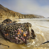 1099-seafood_thumb