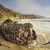 1099-seafood_tiny_square