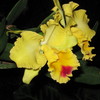 Img_0824_thumb