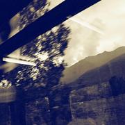 53360019_card