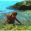 Cala_francese1_thumb