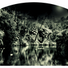 Cannibal_river__2__toned_arch__22w72_rgb__thumb