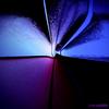 Aut_9013_-_copia_thumb