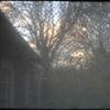Backyard_thumb