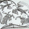 Dance_iii_2007_60x42cm__ink_on_paper_thumb