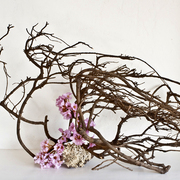 Ikebana-097_card