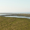 New-years-walk_thumb