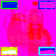 Lifeissexist_card
