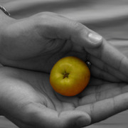 Apple_colored_card