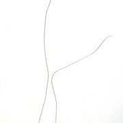 Siesta-25_card