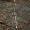 Maine_line_thumb