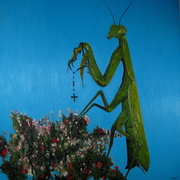 Img_5675_card