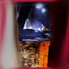 Snowy_thumb