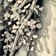 Natural_features_-_shadow_card