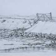 Img_1622_card