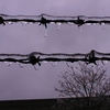 Icw_thumb