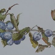 Img_1611_card