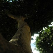 Dscn3942_card