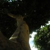 Dscn3942_thumb