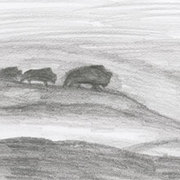 Yak_card