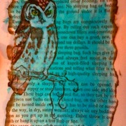 Photo_853_card