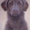100_6582_thumb