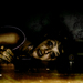 Festers_remorse_square