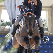 Equestrian_1_card