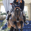 Equestrian_1_thumb