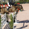 Equestrian_2_thumb