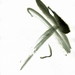 Untitled2_square