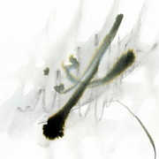 Untitled3_card