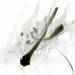 Untitled3_square