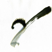 Untitled4_card