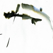 Untitled5_card