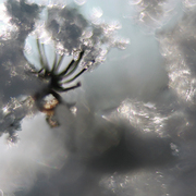 As_a_sky__ice_story__card