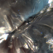 Butterfly__ice_story_card