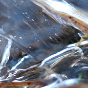 Ice_brush_card