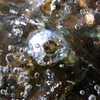 Eye_of_the_ice_thumb